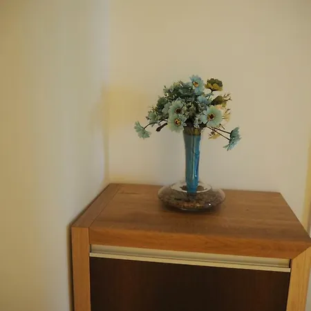 Appartement Vihorlatska