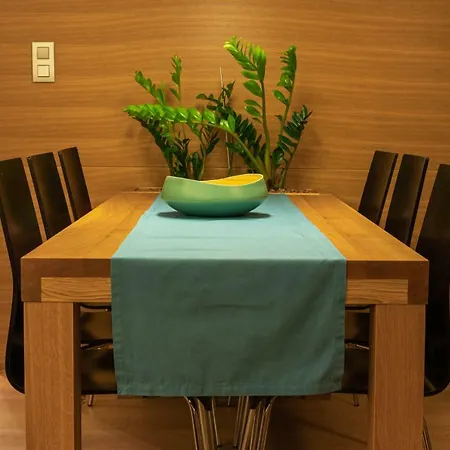 Appartement Vihorlatska