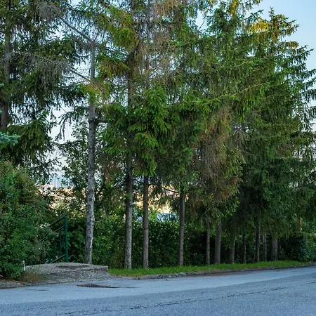 Vihorlatska Appartement *