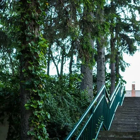 Vihorlatska Appartement *